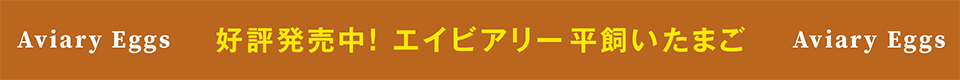 近日発売!エイビアリー平飼いたまご Aviary Eggs